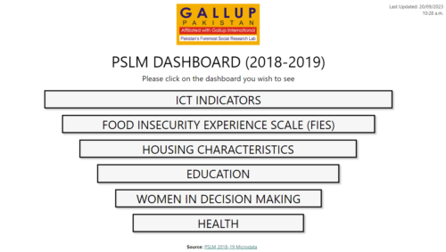 PSLM Gallup Pakistan Digital Analytics